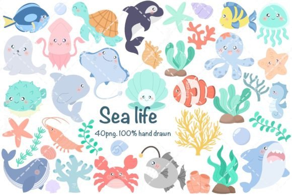 Sea Life Clipart. Hand Drawn Graphics and Illustrations Review